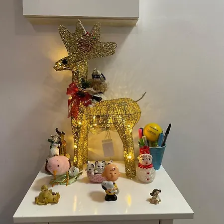 Castle Door House - Single With Double Beds Near Train Station * Bologna